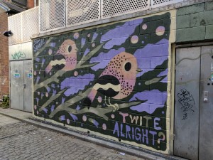 Wall mural of two Twite birds by Matt Sewell